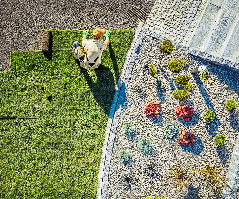 kilworthy garden design, stone steps and roll out grass